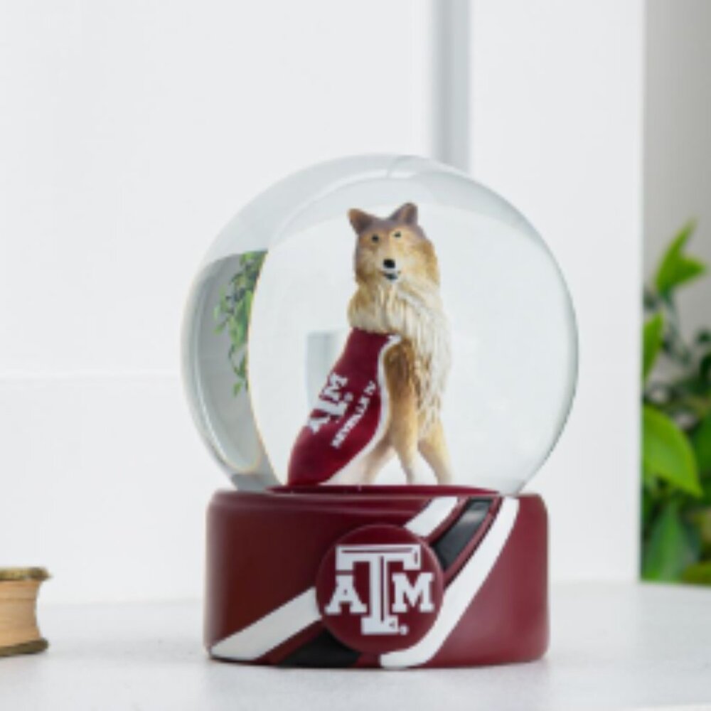 Texas A&M Water Globe